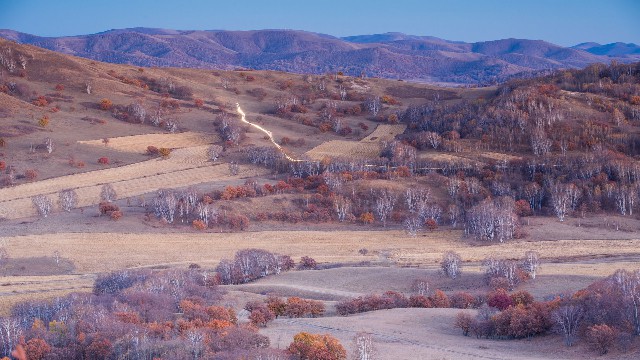 拼多多补单软件