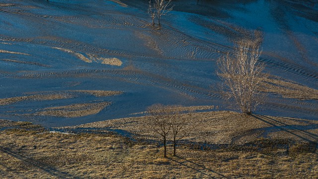 拼多多补单软件