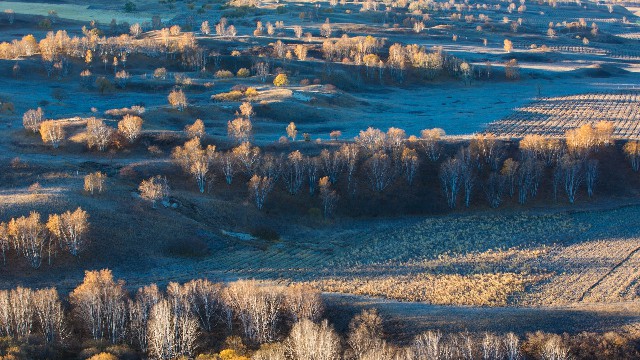 拼多多补单软件