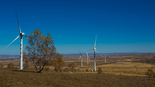 拼多多补单软件