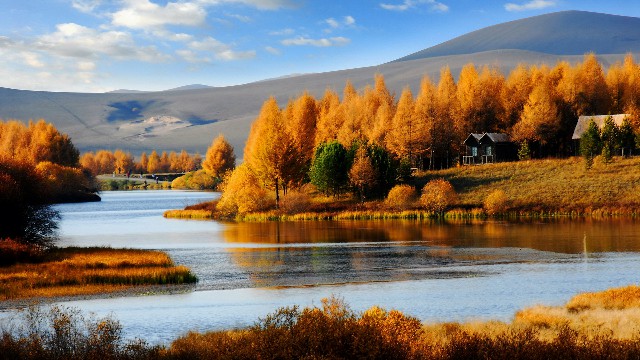 拼多多补单软件