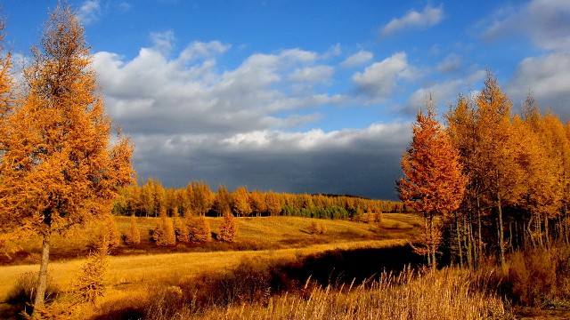 拼多多补单软件