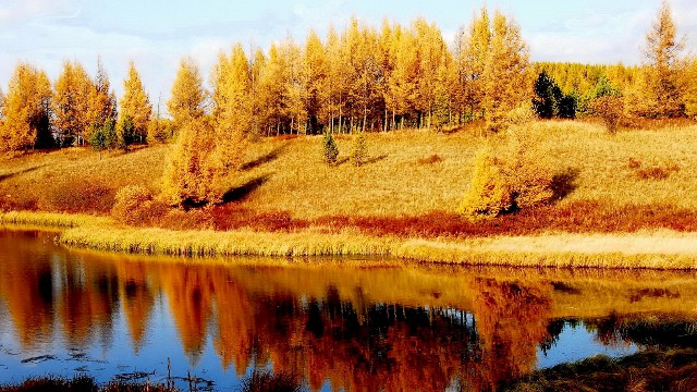 拼多多补单软件