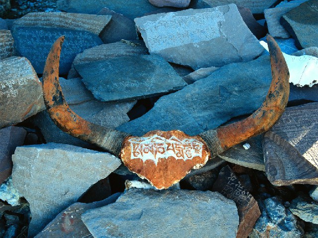 拼多多补单软件