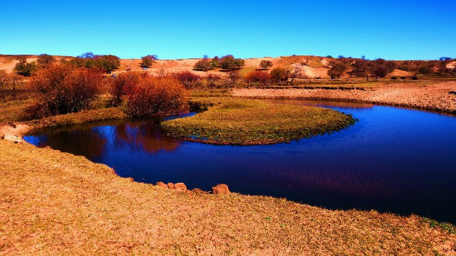 拼多多补单软件