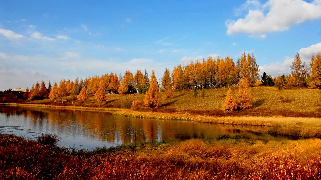 拼多多补单软件
