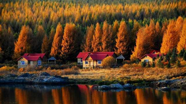 拼多多补单软件