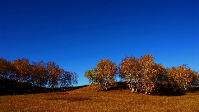 拼多多补单软件