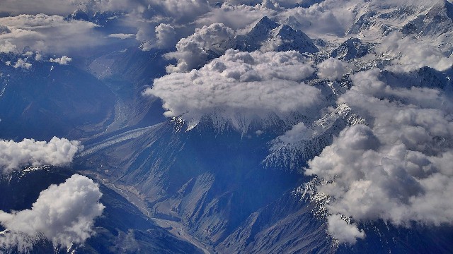 拼多多补单软件