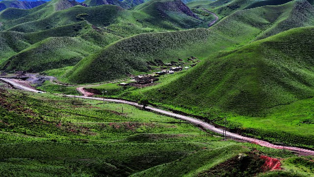 拼多多补单软件