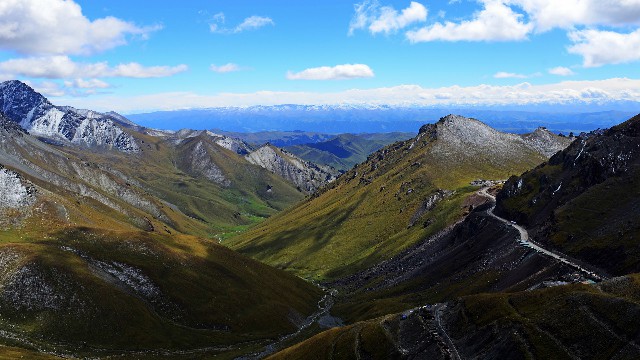 拼多多补单软件