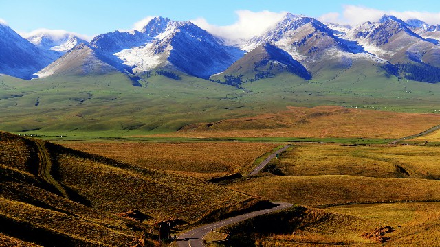 拼多多补单软件