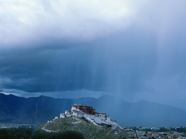 拼多多补单软件