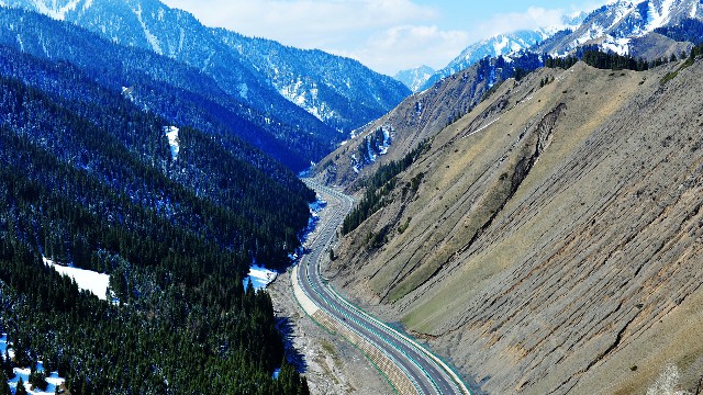 拼多多补单软件