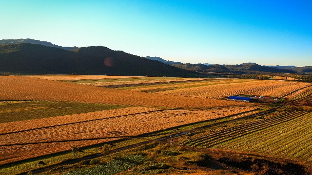 拼多多补单软件