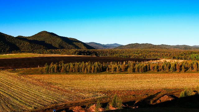 拼多多补单软件