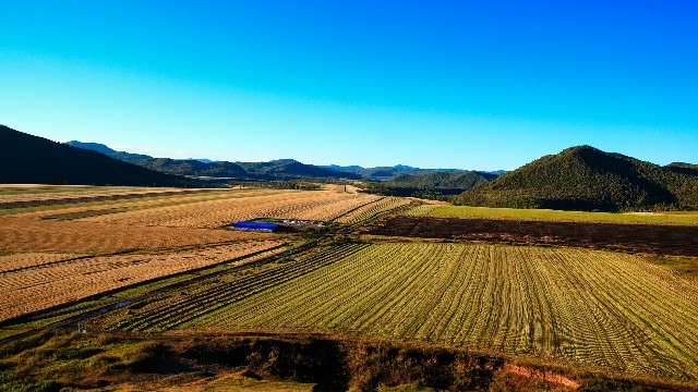 拼多多补单软件