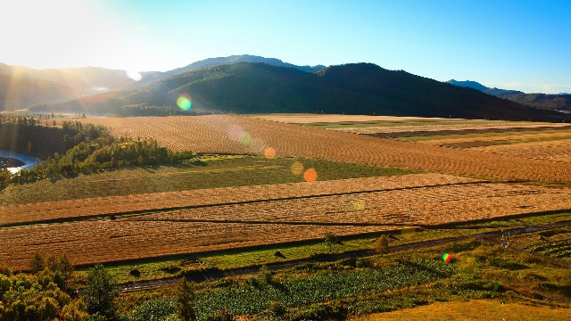 拼多多补单软件