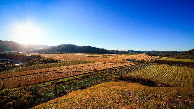 拼多多补单软件