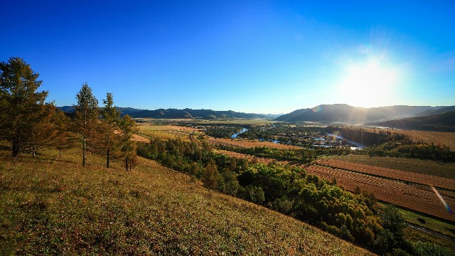 拼多多补单软件