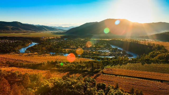 拼多多补单软件