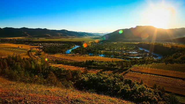 拼多多补单软件