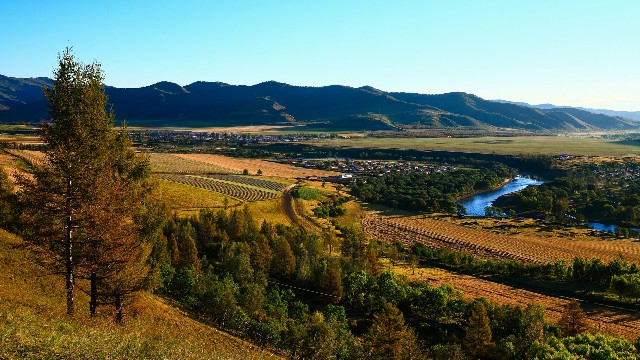 拼多多补单软件