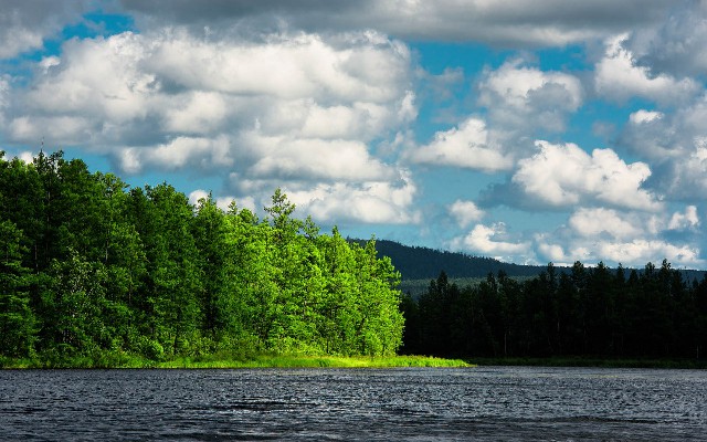 拼多多补单软件