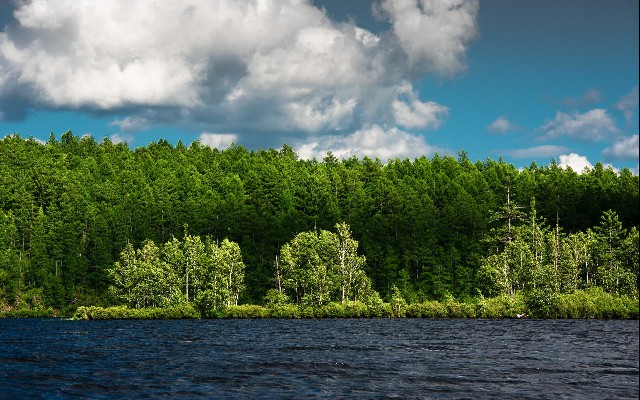 拼多多补单软件