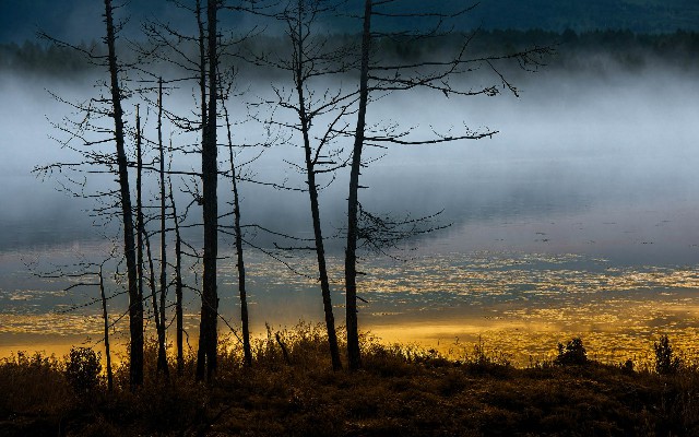 拼多多补单软件