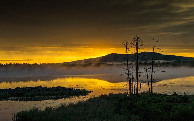 拼多多补单软件