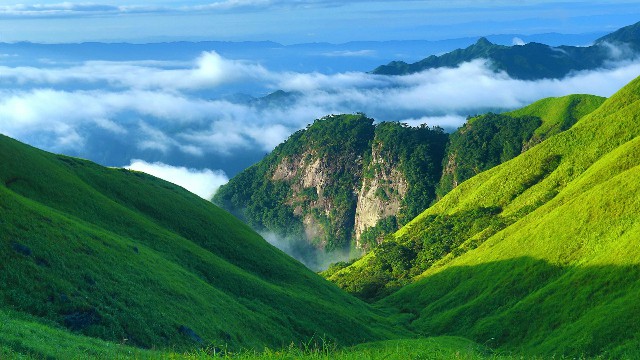 拼多多补单软件