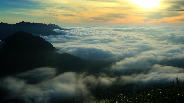 拼多多补单软件