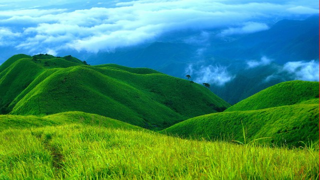 拼多多补单软件