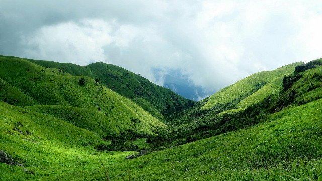拼多多补单软件