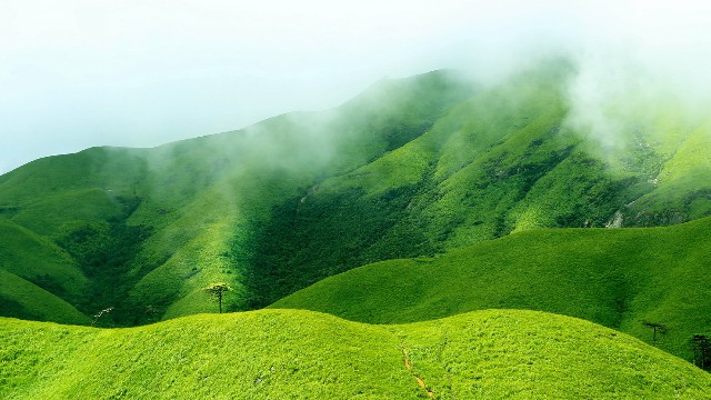 拼多多补单软件
