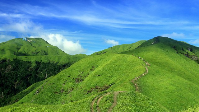 拼多多补单软件