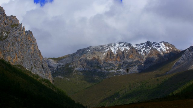 拼多多补单软件