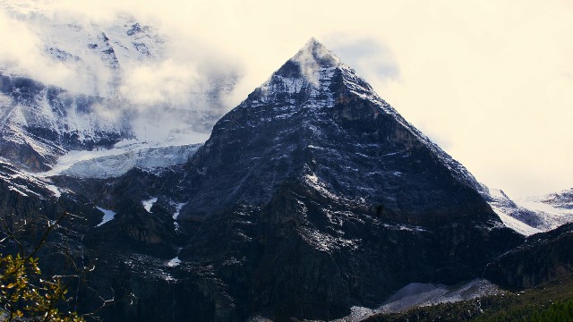 拼多多补单软件