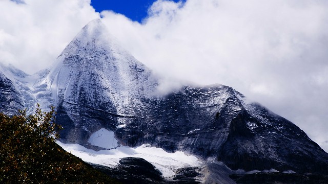 拼多多补单软件