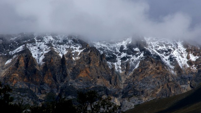 拼多多补单软件