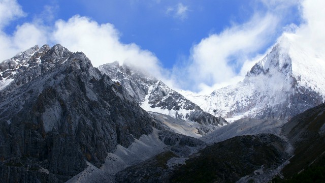 拼多多补单软件