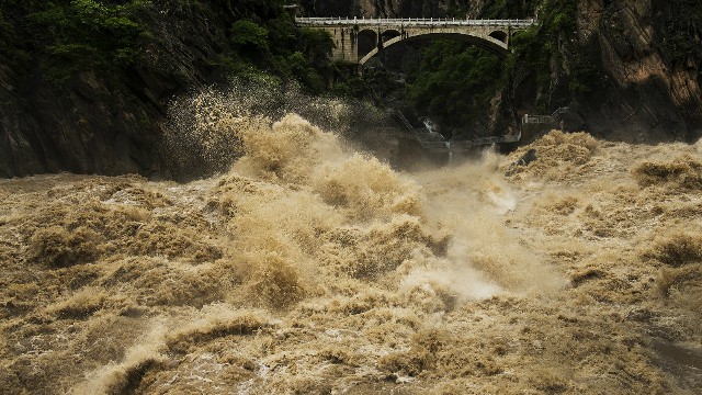 拼多多补单软件