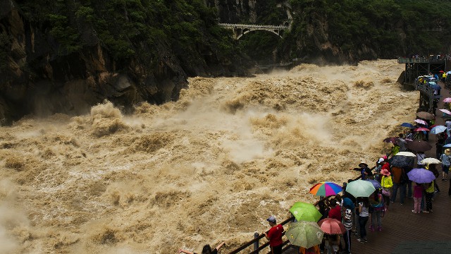 拼多多补单软件