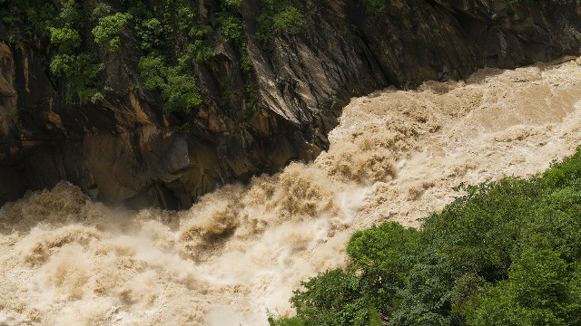 拼多多补单软件