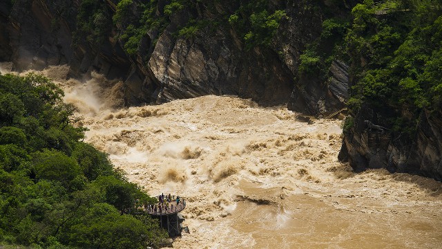 拼多多补单软件