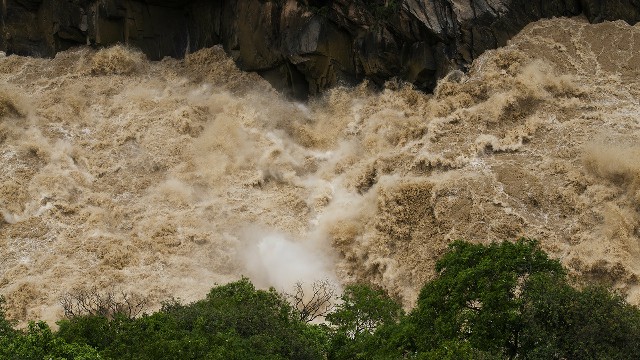 拼多多补单软件