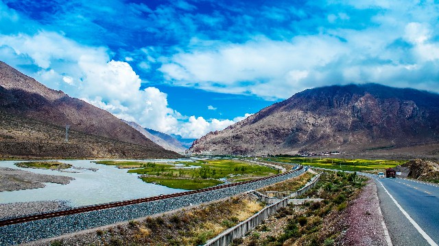 拼多多补单软件