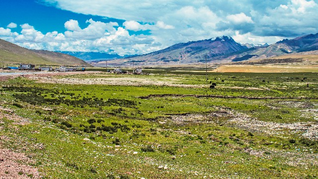 拼多多补单软件