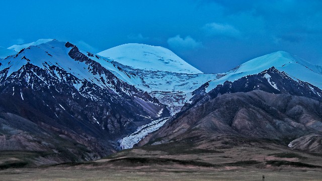 拼多多补单软件